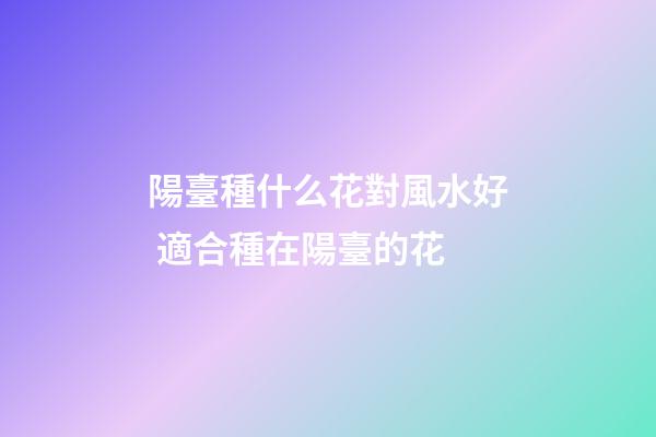 陽臺種什么花對風水好 適合種在陽臺的花
